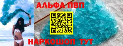гашик Кингисепп